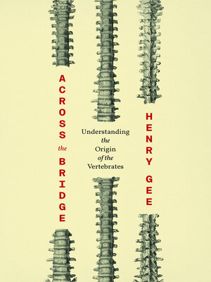 cover image of Across the Bridge: Understanding the Origin of the Vertebrates